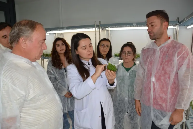 Balıkesir'de 6. Bitki Doku Kültürü Kursu'na yoğun katılım